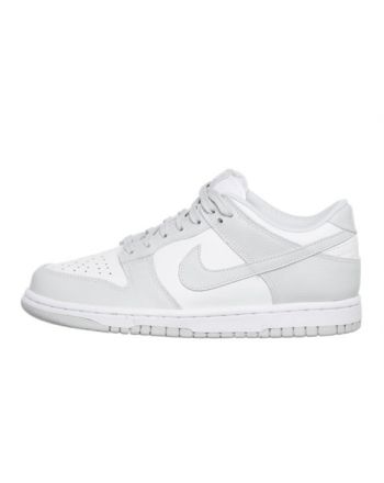 Nike Dunk Low Photon Dust DD1503-103