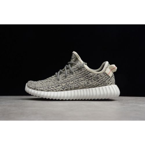 adidas Yeezy Boost 350 Turtle Dove AQ4832